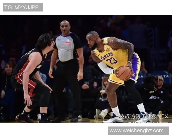 2018年NBA精彩对决篮网与黄蜂的巅峰对决回顾与分析 2018年NBA精彩对决篮网与黄蜂的巅峰对决回顾与分析