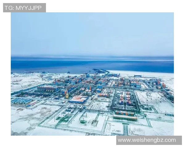 亚马尔地区的资源开发与国际合作新机遇探讨